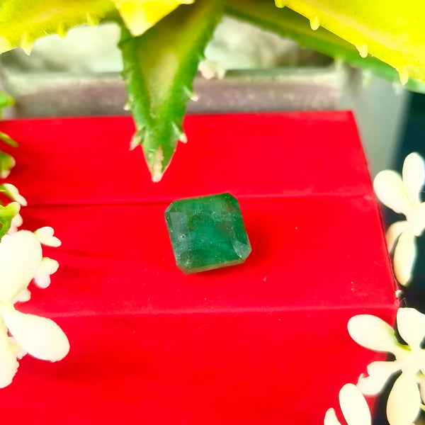 Natural Green Emerald Octagon Step-Cut Loose Gemstone