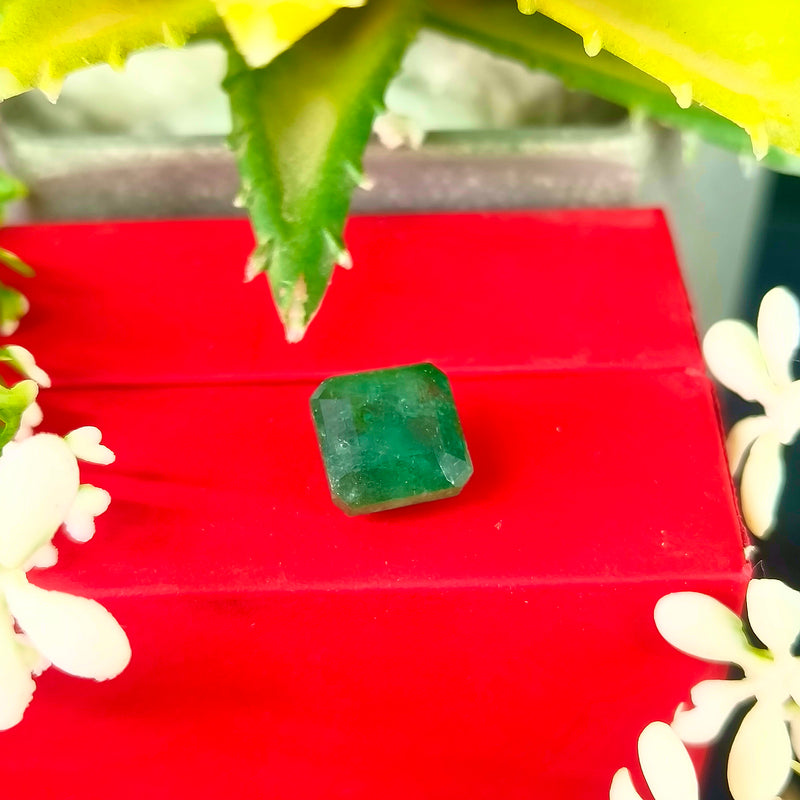 Natural Green Emerald Octagon Step-Cut Loose Gemstone