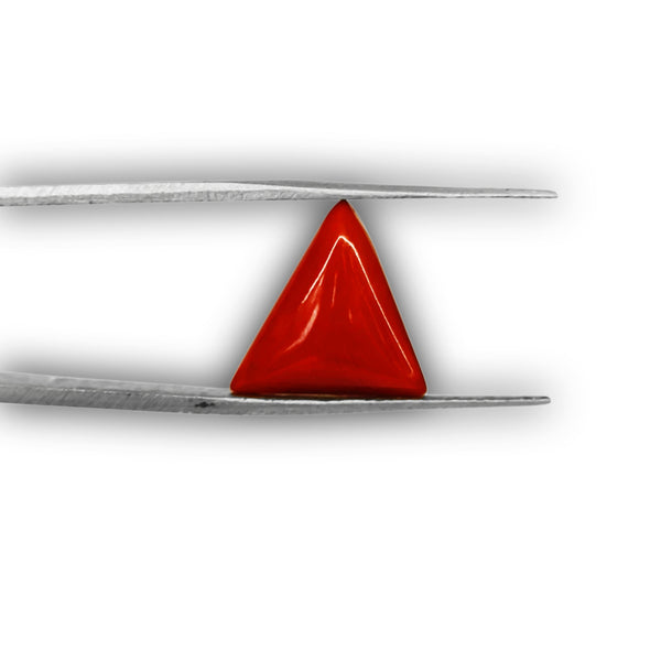 Natural Red Coral (Moonga) Triangular-Cut Loose Gemstone