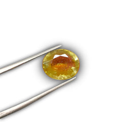Natural Yellow Sapphire (Pukhraj) Oval-Cut Loose Gemstone